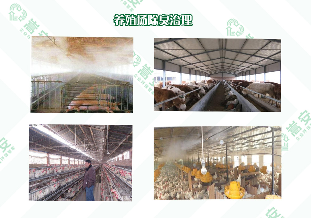 河南除臭劑廠家如何有效解決養(yǎng)殖場異味問題？專業(yè)指南來了