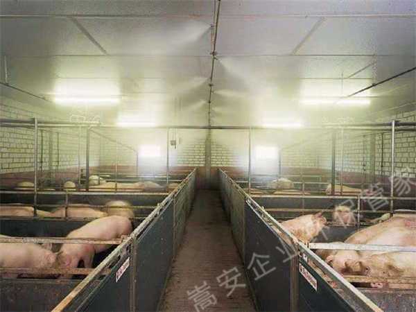 養(yǎng)殖場如何除臭可以降低禽畜患病風(fēng)險，生物除臭劑效果不錯